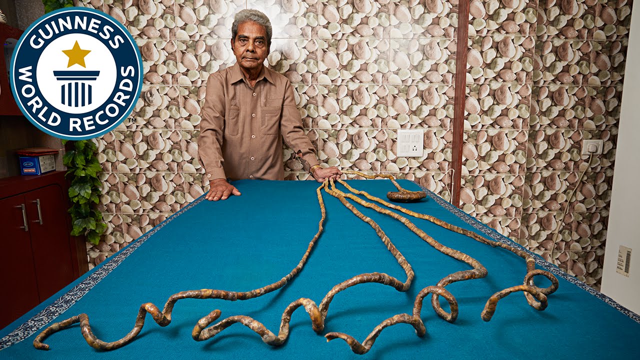 Longest fingernails on a single hand (ever) – Meet The Record Breakers