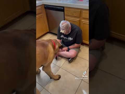 Man Puts Butter On His Head So He Can Cut Dogs Nails
