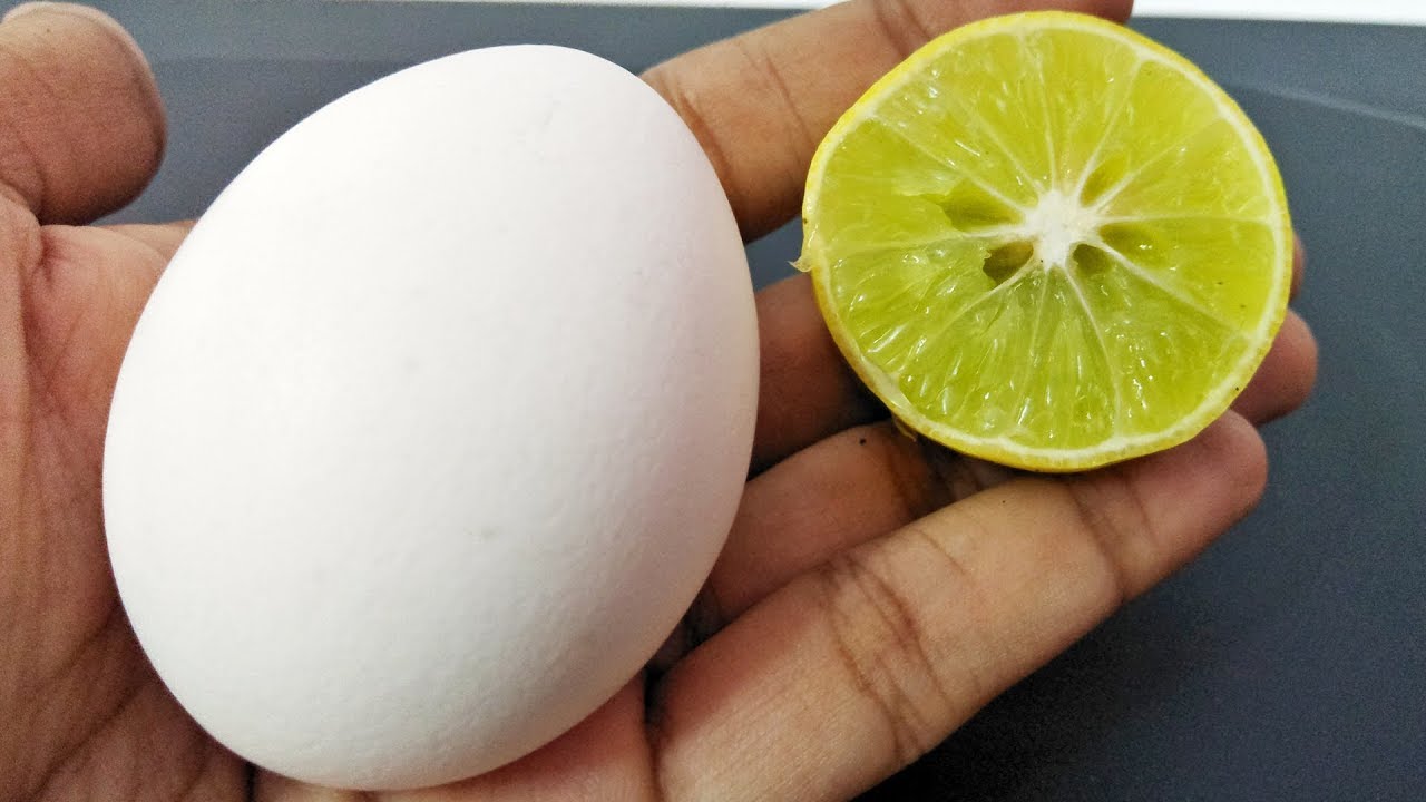Egg White Face Pack Beauty Tips For Bright Skin – egg Face pack for skin bright, skin care hacks